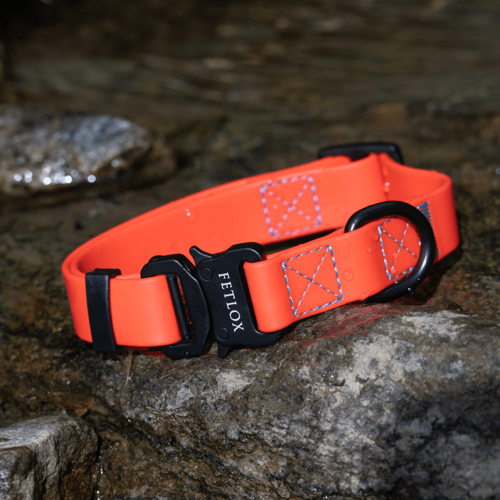 Rufus Dog Collar - Orange - Pet Supplier Store