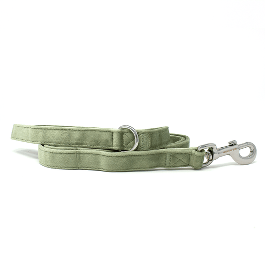 Sage Mist - Green Velvet Dog Lead with Silver Hardware - Pet Supplier Store