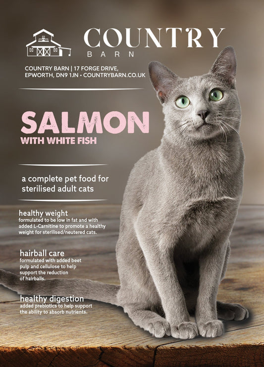 Salmon & White FIsh - Pet Supplier Store
