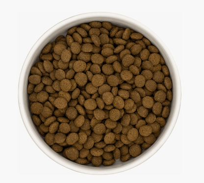 Salmon & White FIsh - Pet Supplier Store