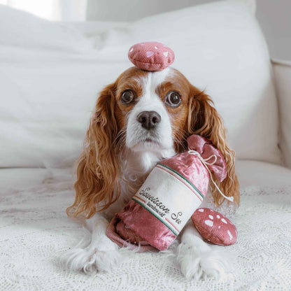 Saucisson Enrichment Dog Toy - Pet Supplier Store