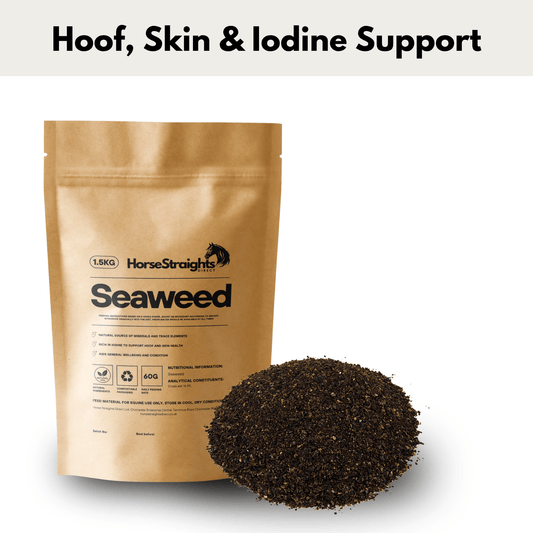 Seaweed - Pet Supplier Store