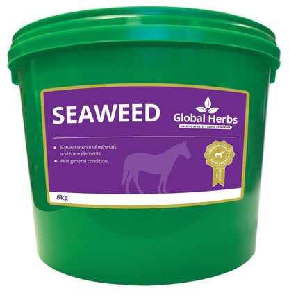 Seaweed - Global Herbs - Pet Supplier Store