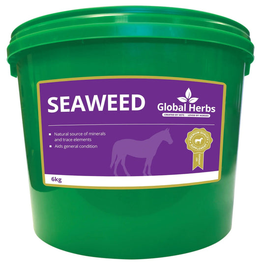 Seaweed - Global Herbs - Pet Supplier Store