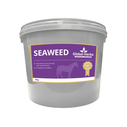 Seaweed - Global Herbs - Pet Supplier Store