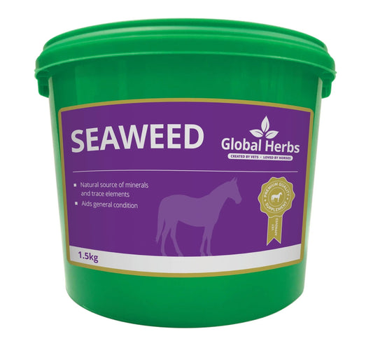 Seaweed - Global Herbs - Pet Supplier Store