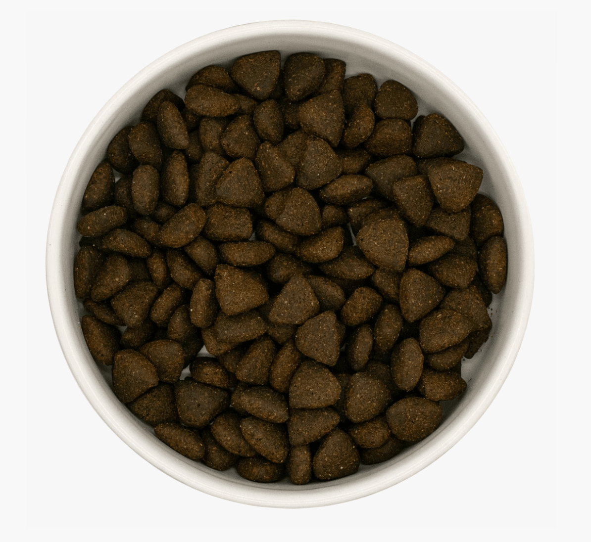 Senior - Scottish Salmon - Pet Supplier Store