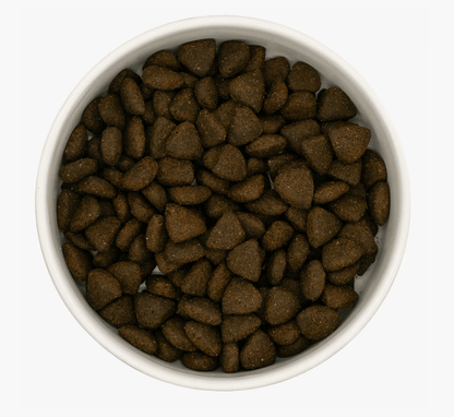 Senior - Scottish Salmon - Pet Supplier Store