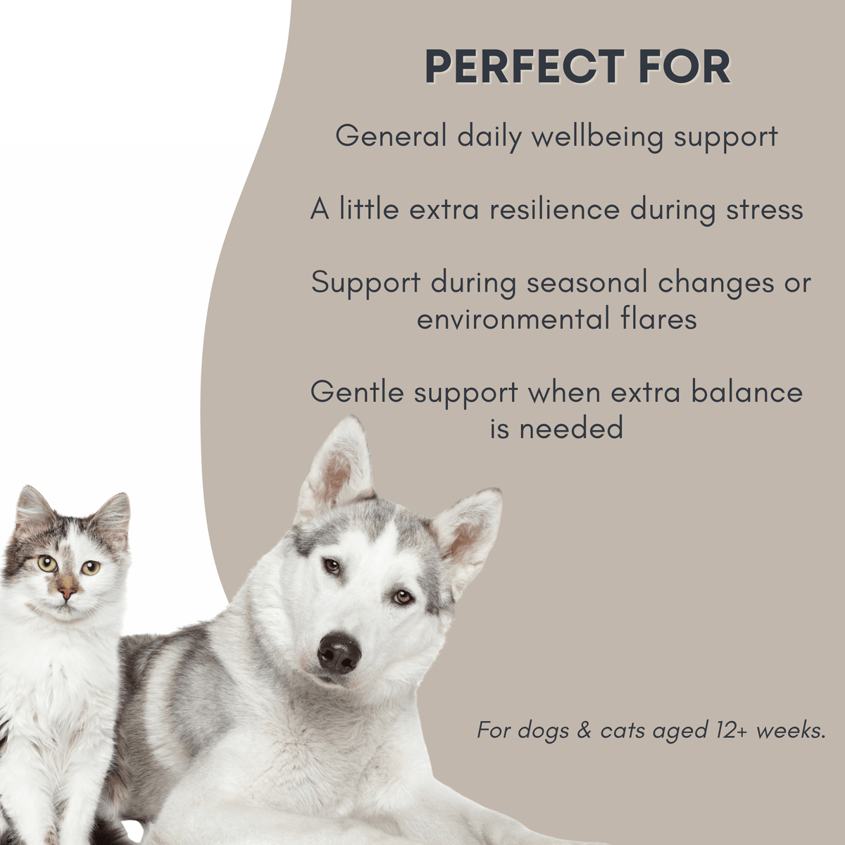 Shanzi Naturals Immune Blend - Pet Supplier Store