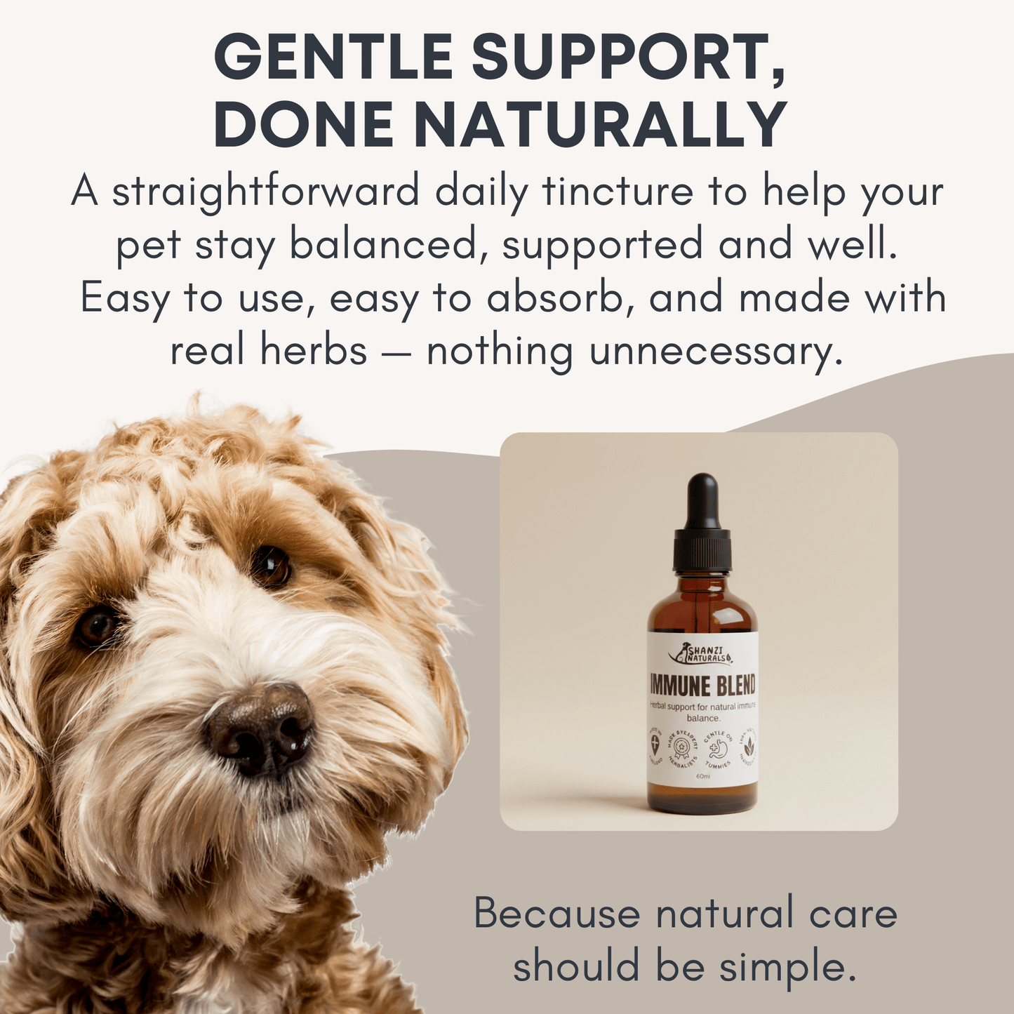 Shanzi Naturals Immune Blend - Pet Supplier Store