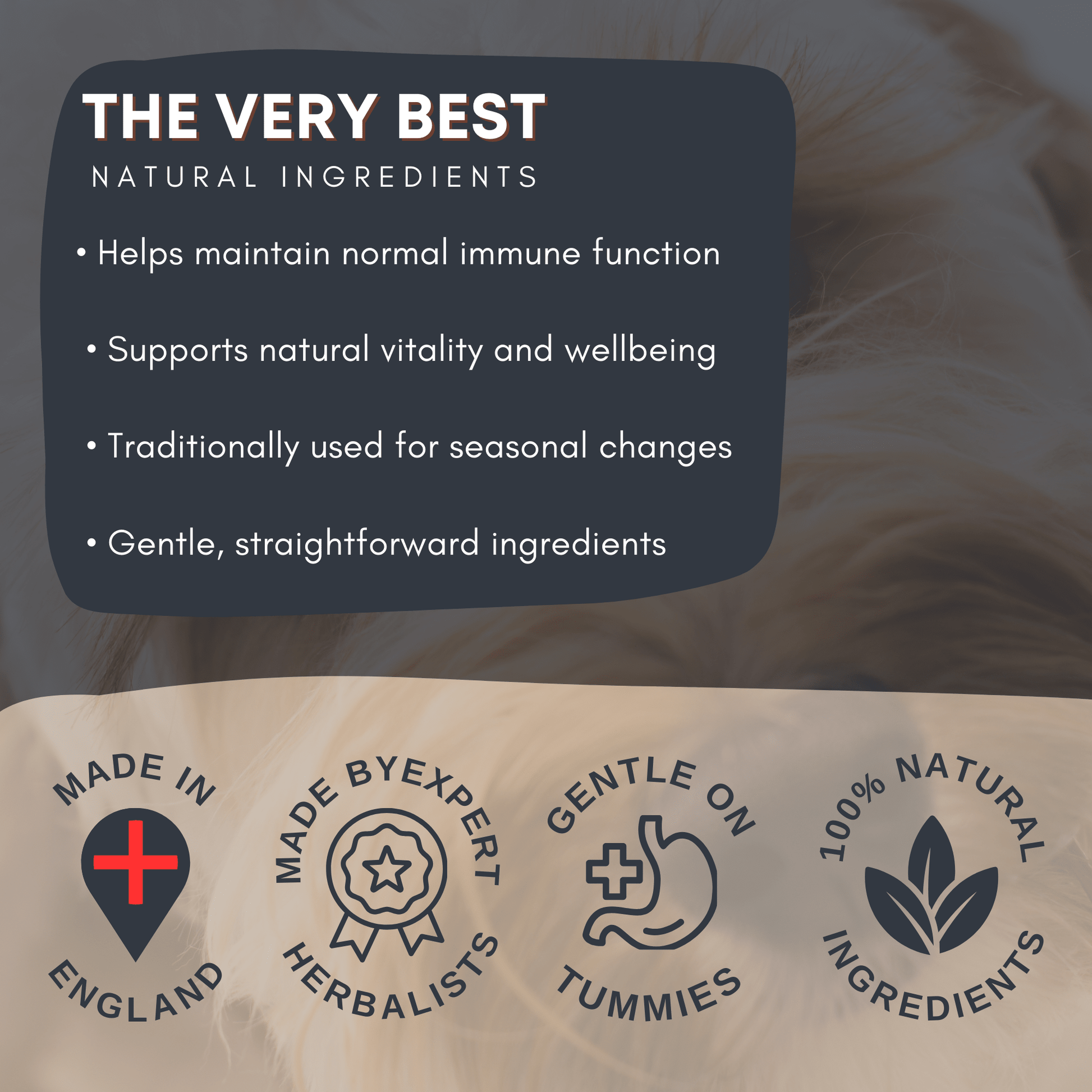 Shanzi Naturals Immune Blend - Pet Supplier Store