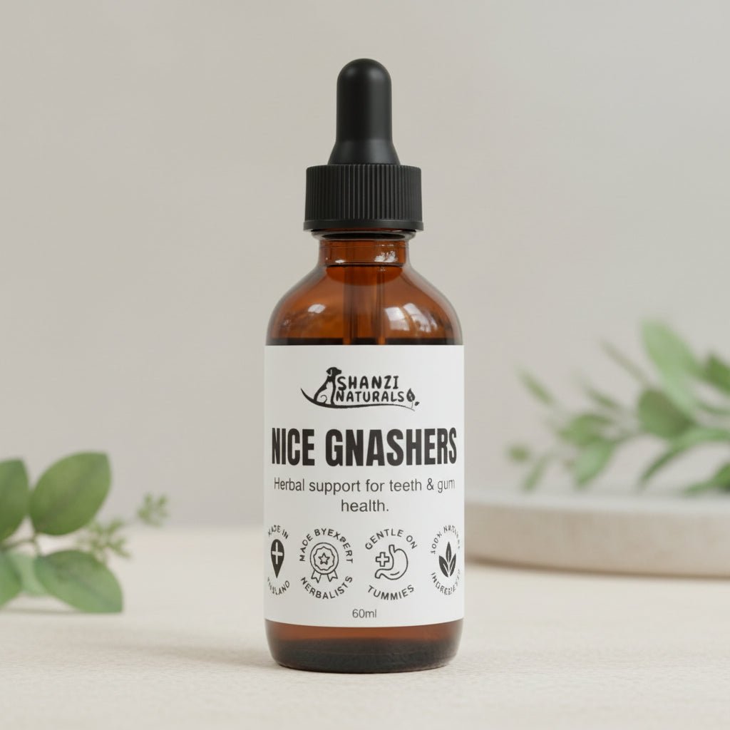 Shanzi Naturals Nice Gnashers – Oral Hygiene & Fresh Breath Formula - Pet Supplier Store