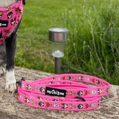 Signature Pink Chihuahua Print Exclusive Lead by My Chi and Me - Pet Supplier Store
