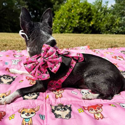 Signature Pink Chihuahua Print Exclusive Small Sailor Bow by My Chi and Me - Pet Supplier Store