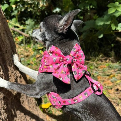 Signature Pink Chihuahua Print Exclusive Small Sailor Bow by My Chi and Me - Pet Supplier Store