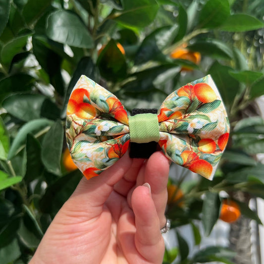 Simply the Zest - Oranges Dog Bow Tie - Pet Supplier Store