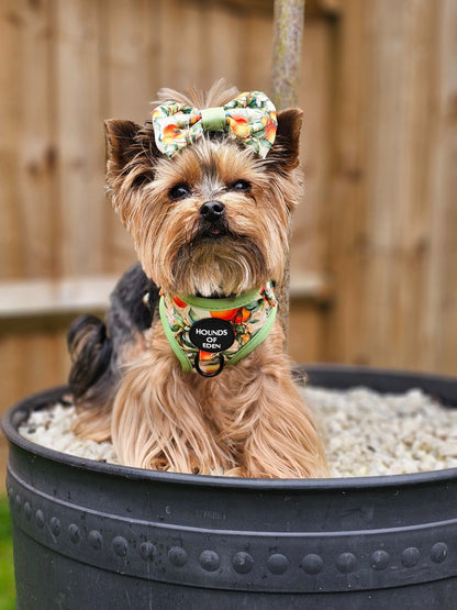 Simply the Zest - Oranges Dog Bow Tie - Pet Supplier Store