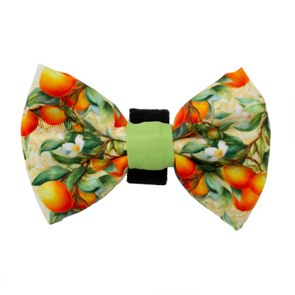 Simply the Zest - Oranges Dog Bow Tie - Pet Supplier Store