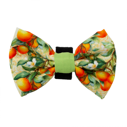 Simply the Zest - Oranges Dog Bow Tie - Pet Supplier Store