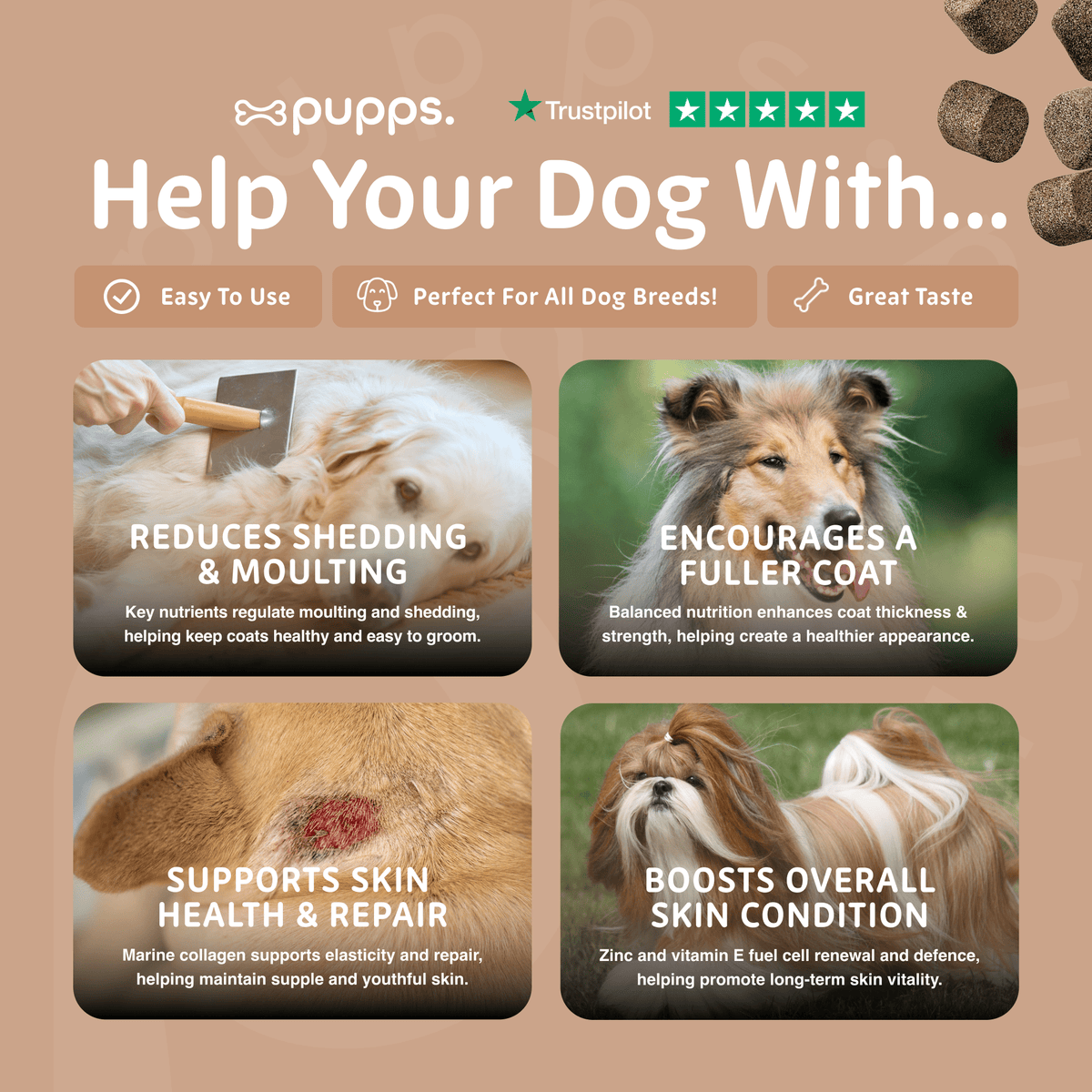Skin & Coat Treats - Pet Supplier Store