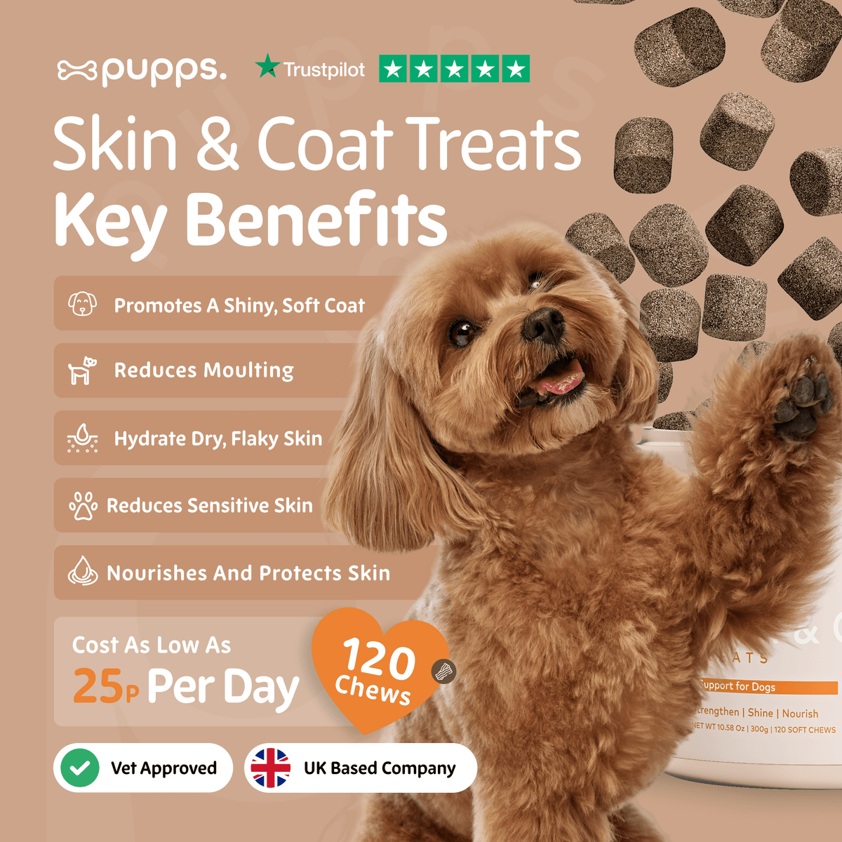 Skin & Coat Treats - Pet Supplier Store
