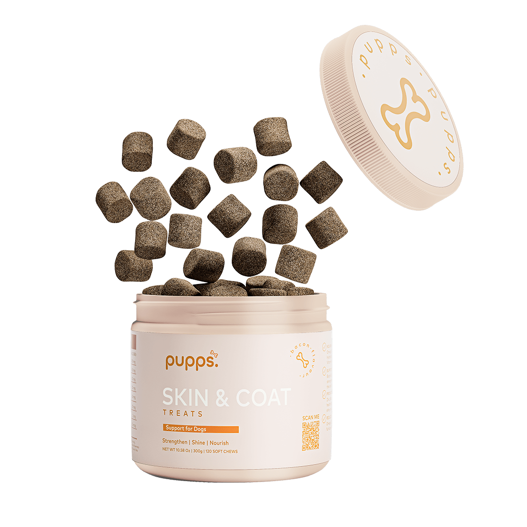 Skin & Coat Treats - Pet Supplier Store