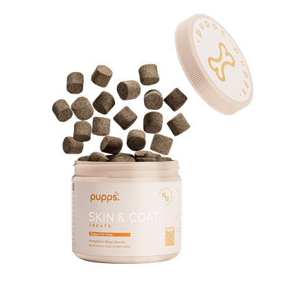 Skin & Coat Treats - Pet Supplier Store