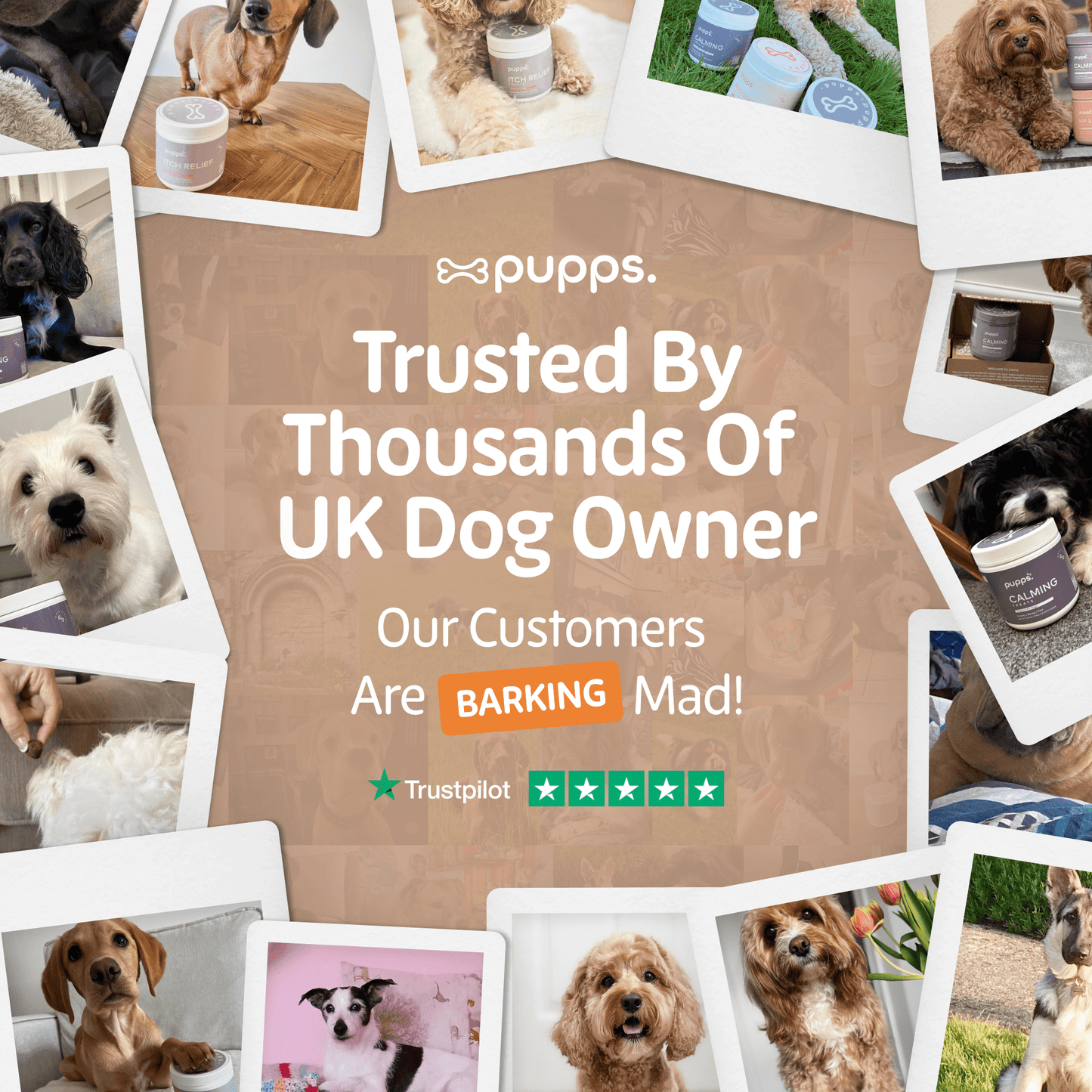 Skin & Coat Treats - Pet Supplier Store