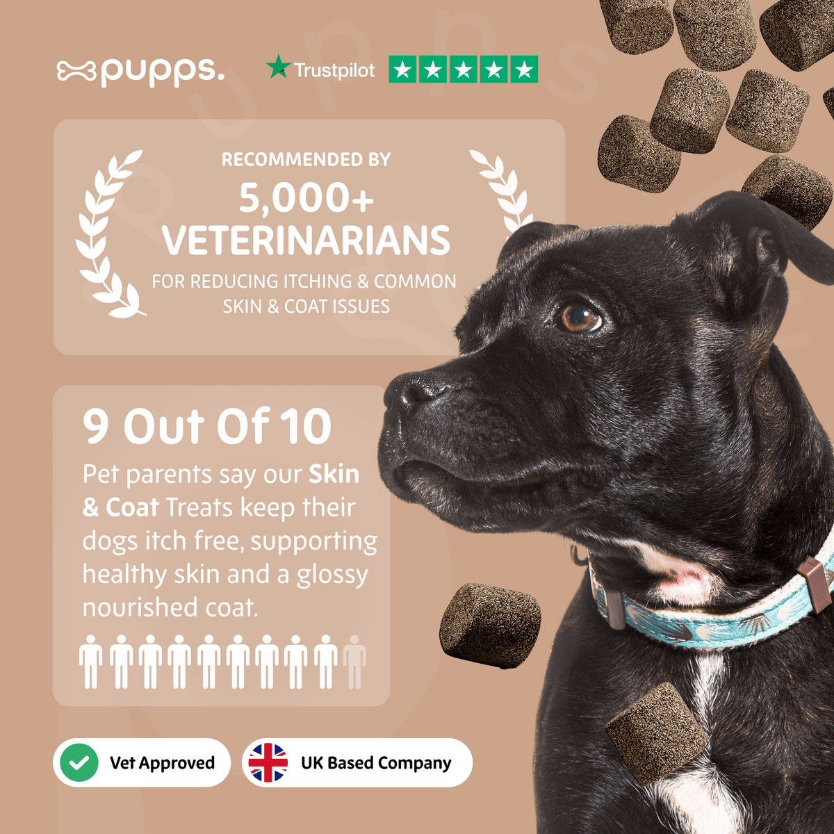 Skin & Coat Treats - Pet Supplier Store