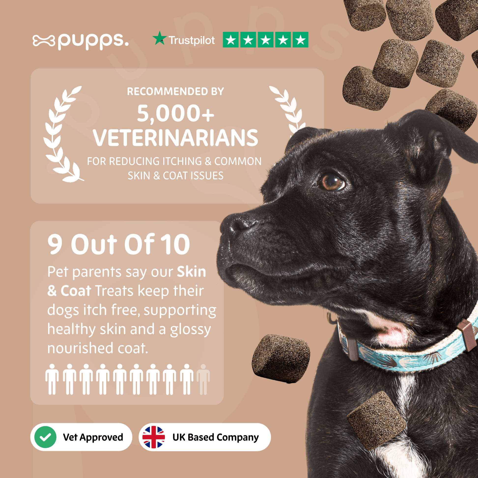 Skin & Coat Treats - Pet Supplier Store