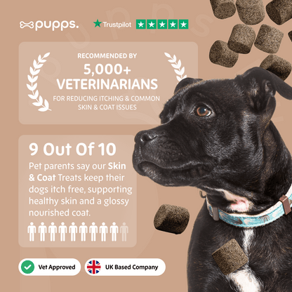 Skin & Coat Treats - Pet Supplier Store