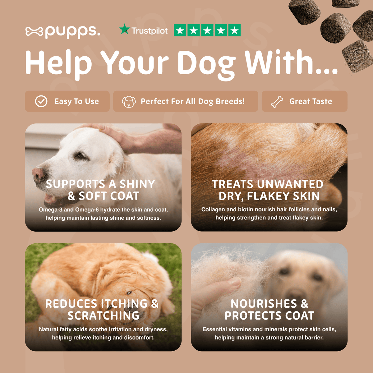 Skin & Coat Treats - Pet Supplier Store