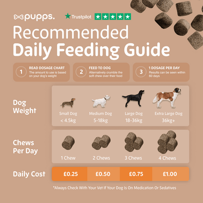 Skin & Coat Treats - Pet Supplier Store