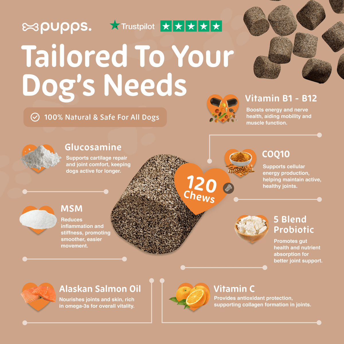 Skin & Coat Treats - Pet Supplier Store
