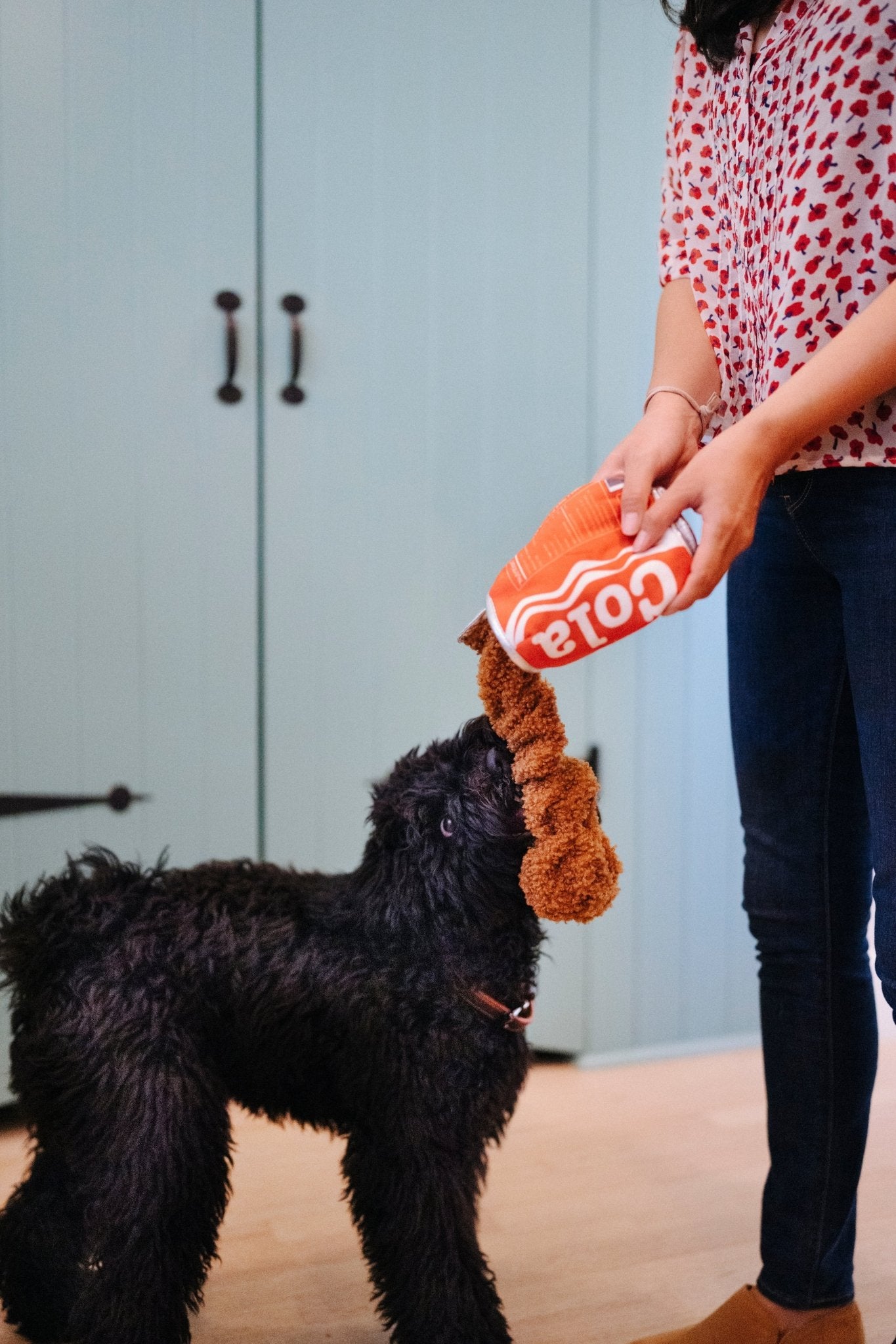 Snack Attack Good Boy Cola - Pet Supplier Store