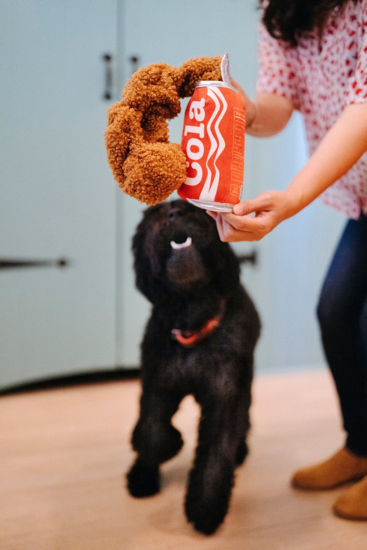 Snack Attack Good Boy Cola - Pet Supplier Store