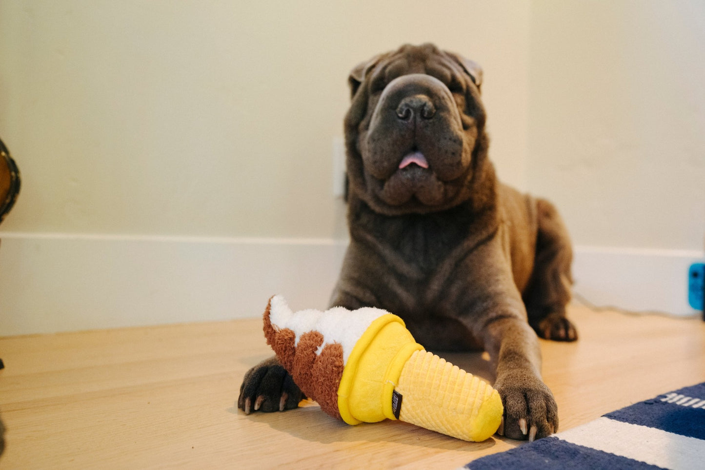 Snack Attack Soft Serve - Pet Supplier Store
