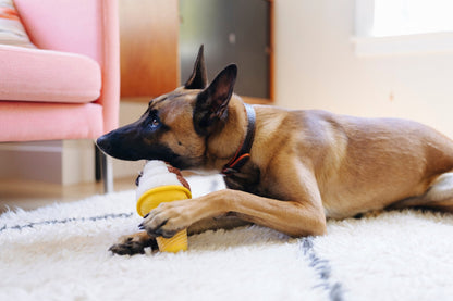 Snack Attack Soft Serve - Pet Supplier Store