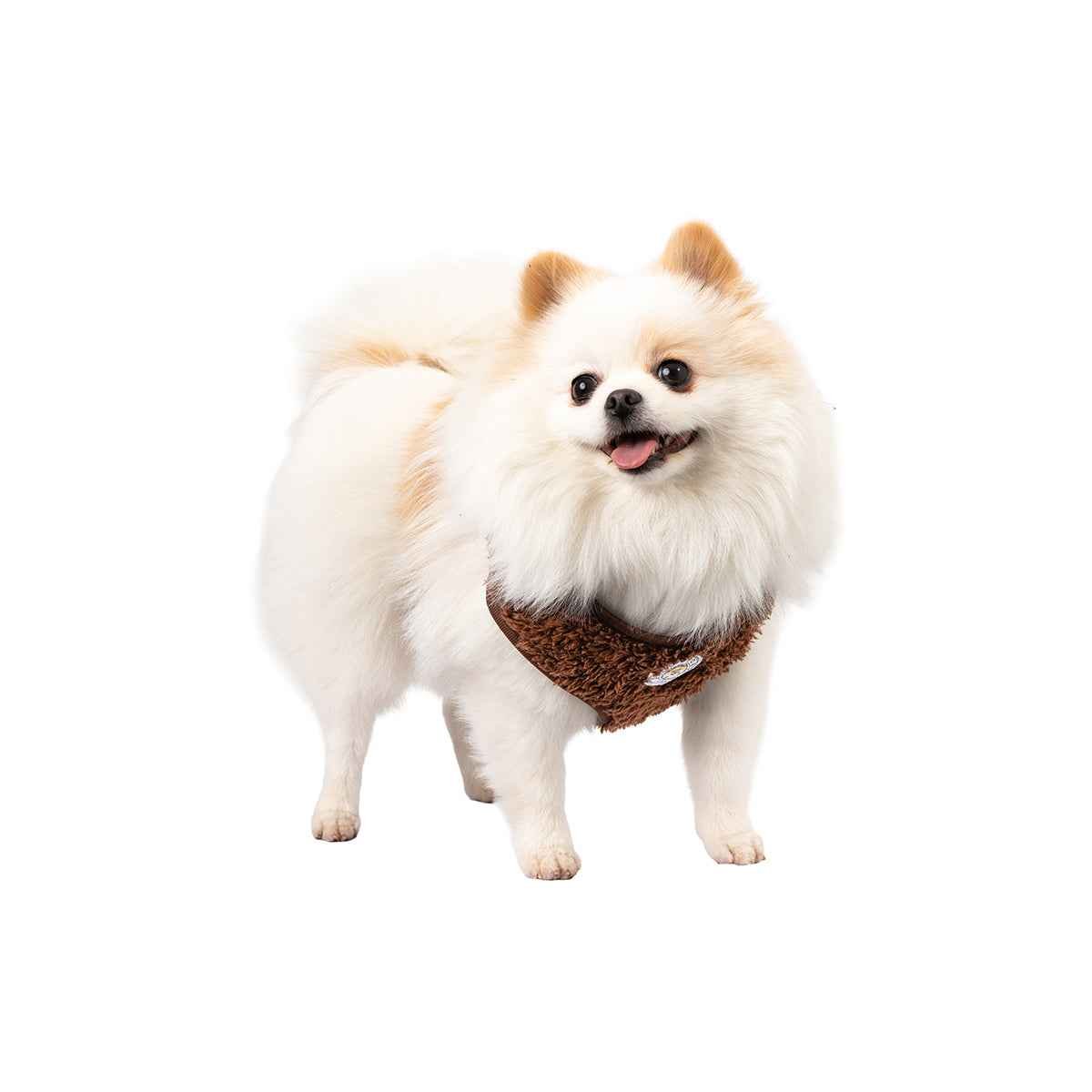 Soho Poms Carnaby Harness - Cocoa Bean - Pet Supplier Store