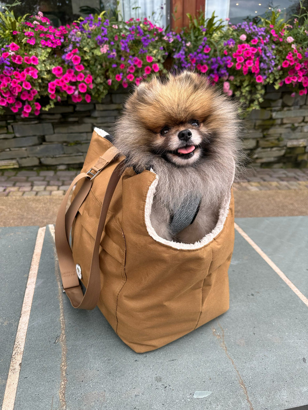 Soho Poms Compton Brown & Cream Pet Carrier - Ideal for Dogs & Cats - Pet Supplier Store