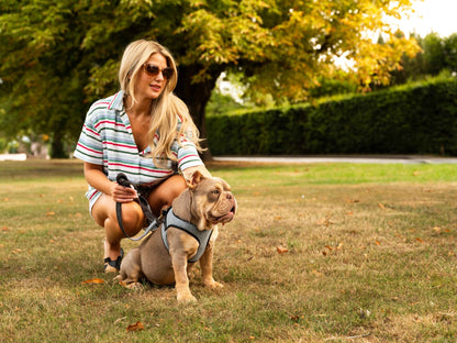 Soho Poms x Bowl & Bone Republic Mayfair Harness - Ocean - Pet Supplier Store