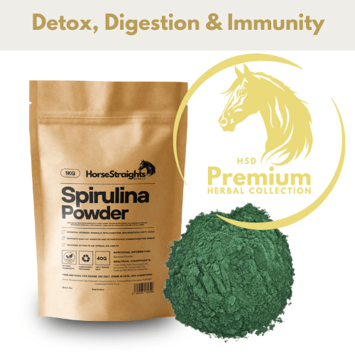 Spirulina Powder - Pet Supplier Store