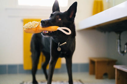 Splish Splash - Bark n' Bristles - Pet Supplier Store