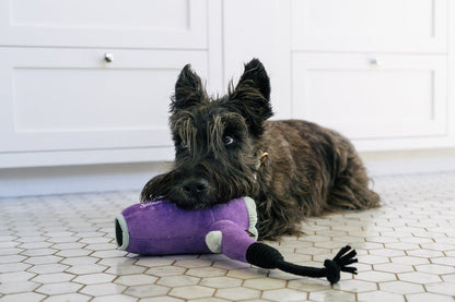 Splish Splash - Howlin' Hair Dryer - Pet Supplier Store
