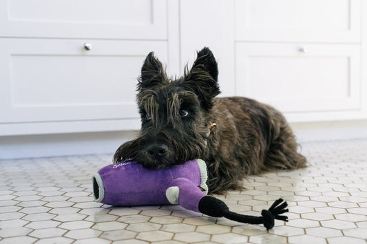 Splish Splash - Howlin' Hair Dryer - Pet Supplier Store