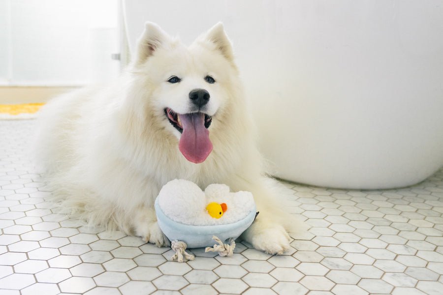 Splish Splash - Rub-a-dub-Tub - Pet Supplier Store
