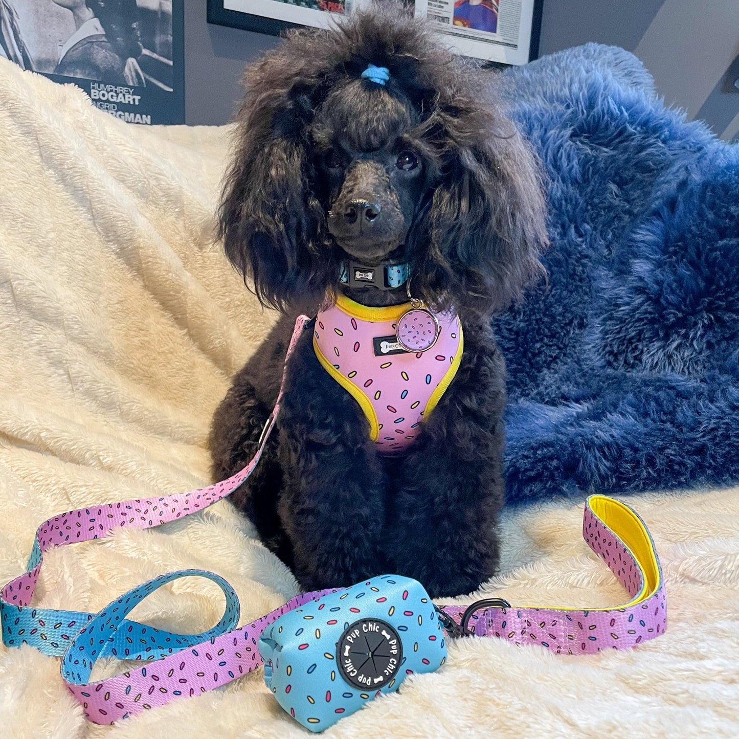 Sprinkles For Days Collar - pink or blue sprinkles dog collar - Pet Supplier Store