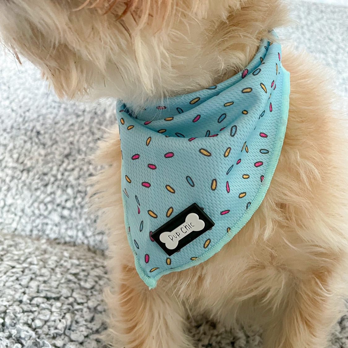 Sprinkles For Days Cooling Bandana - Blue - Pet Supplier Store