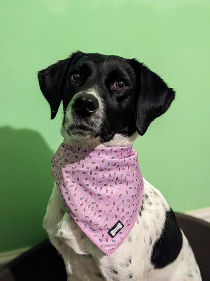 Sprinkles For Days Cooling Bandana - Pink - Pet Supplier Store