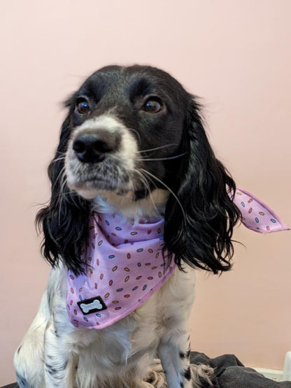 Sprinkles For Days Cooling Bandana - Pink - Pet Supplier Store